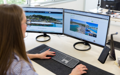 Junior direct sales specialist